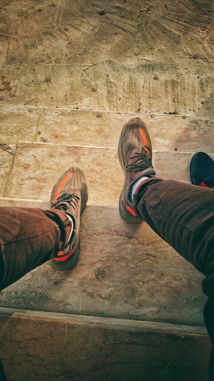 Trends