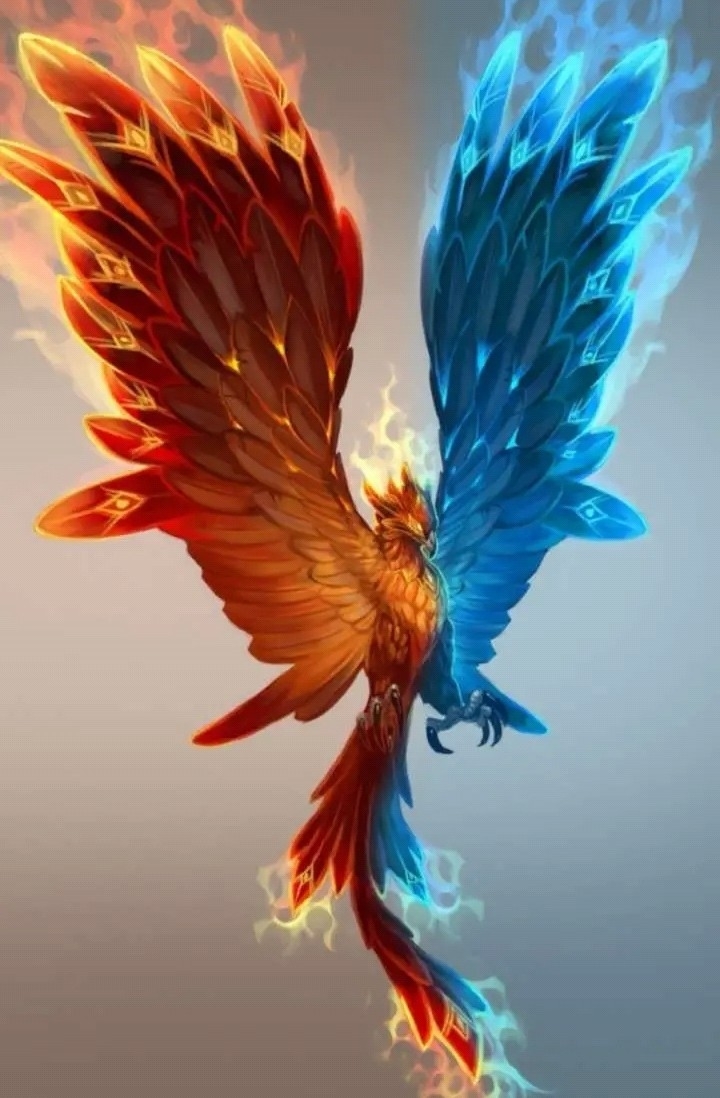 Finix