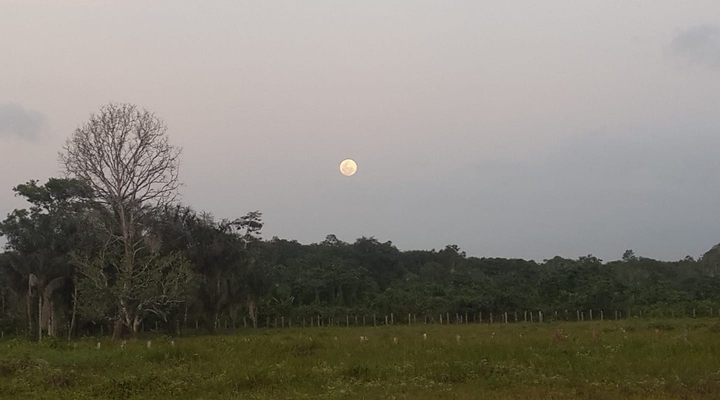 Moon