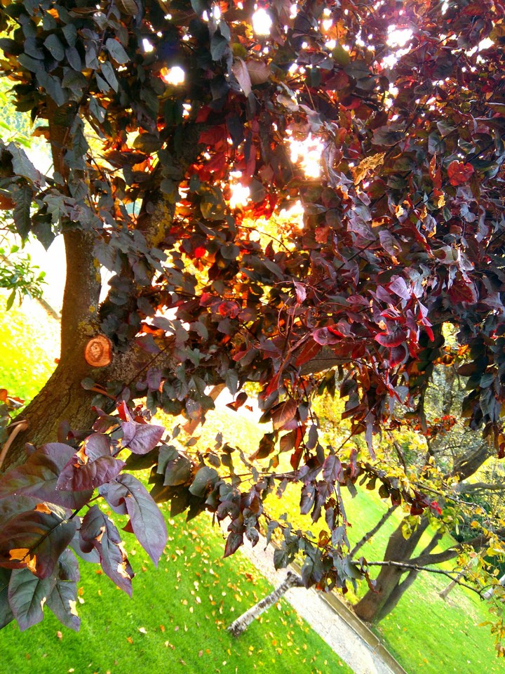 bye bye sun