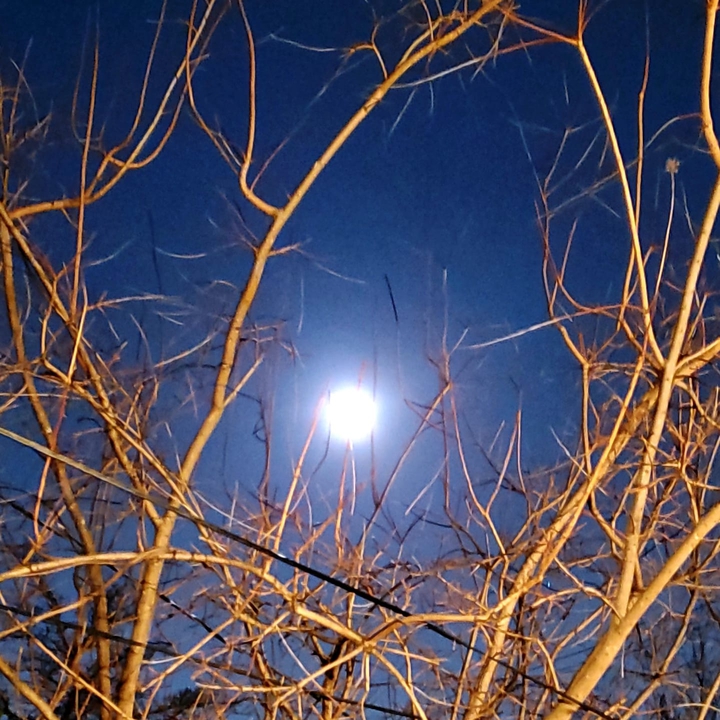 The Worm Moon 3-30-21