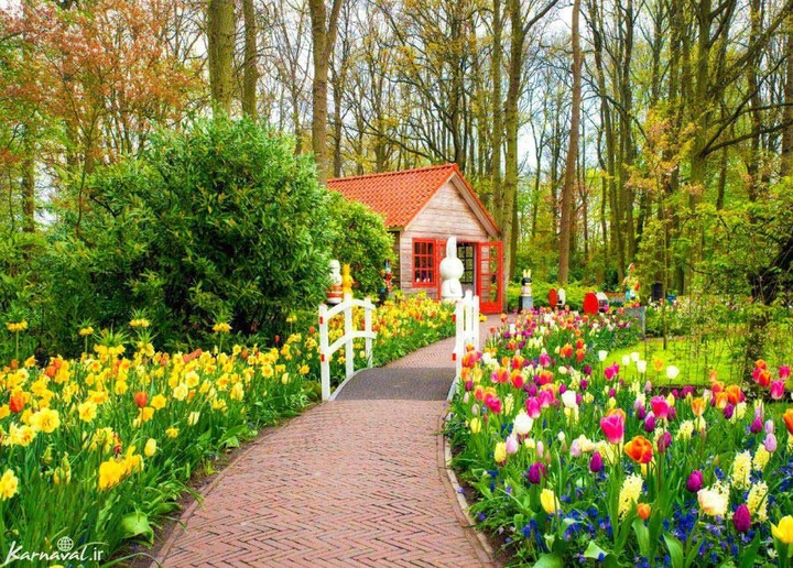 peaceful life