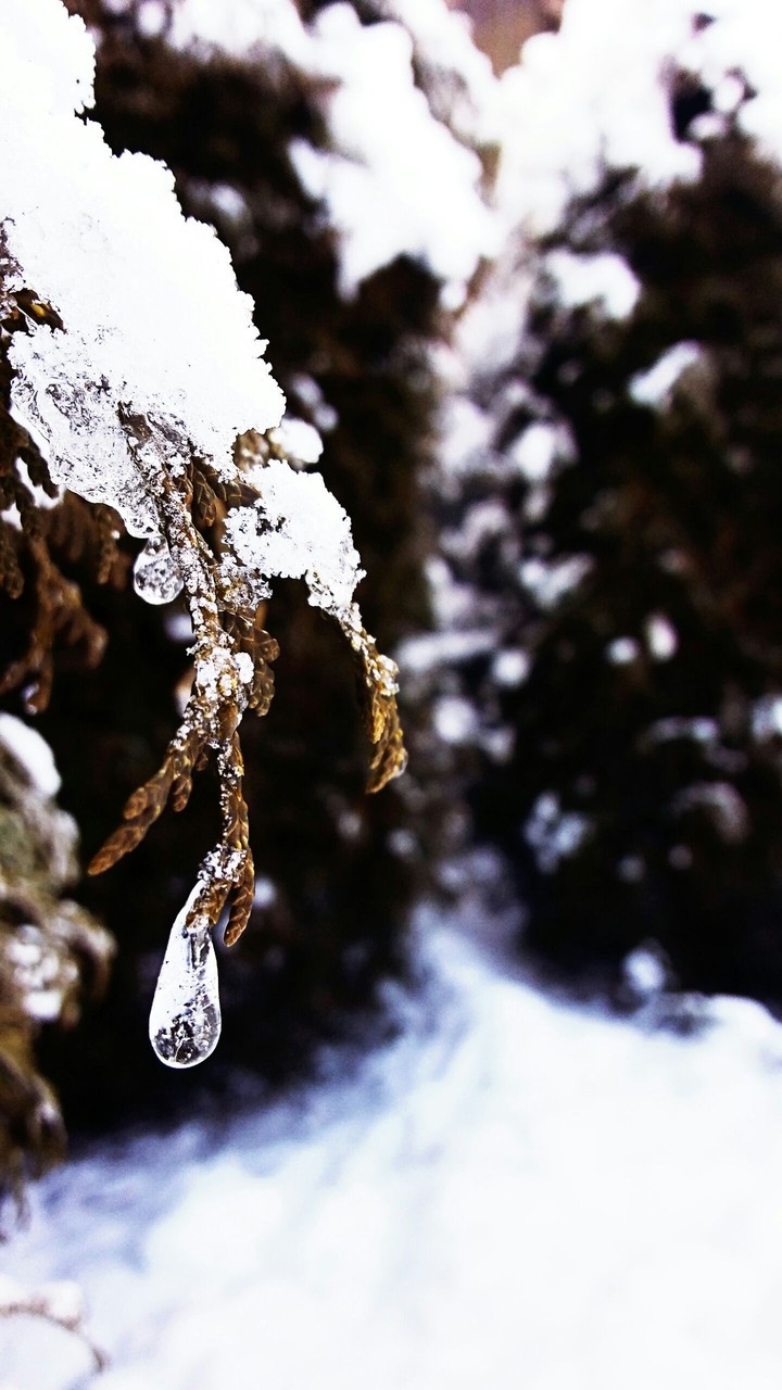 ❄