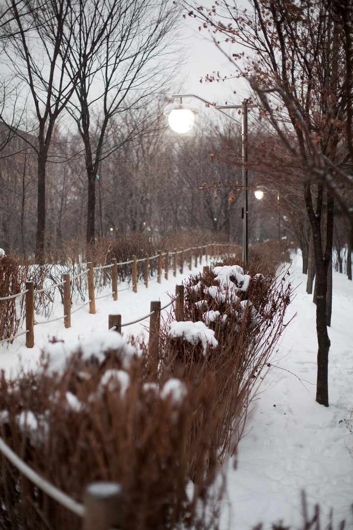 Winter