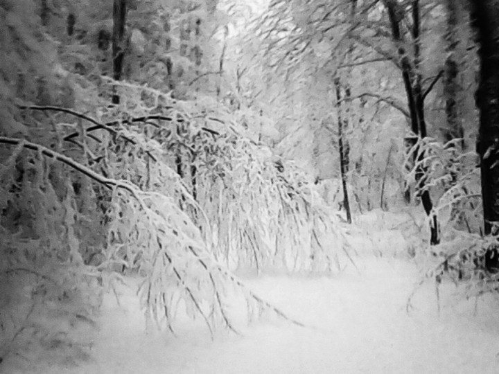 winter in poland