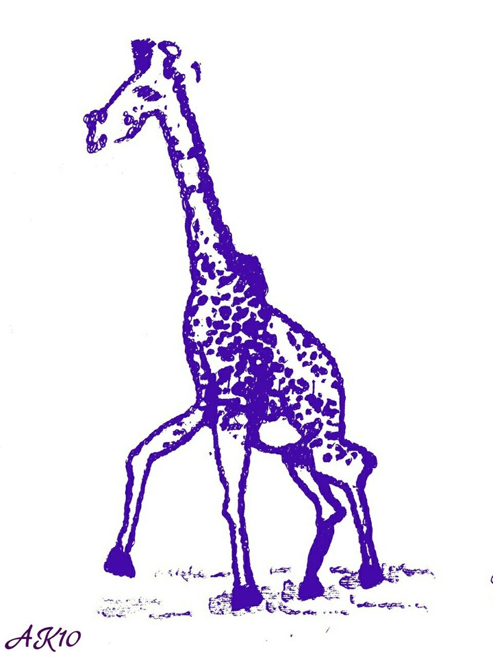 Giraffe
