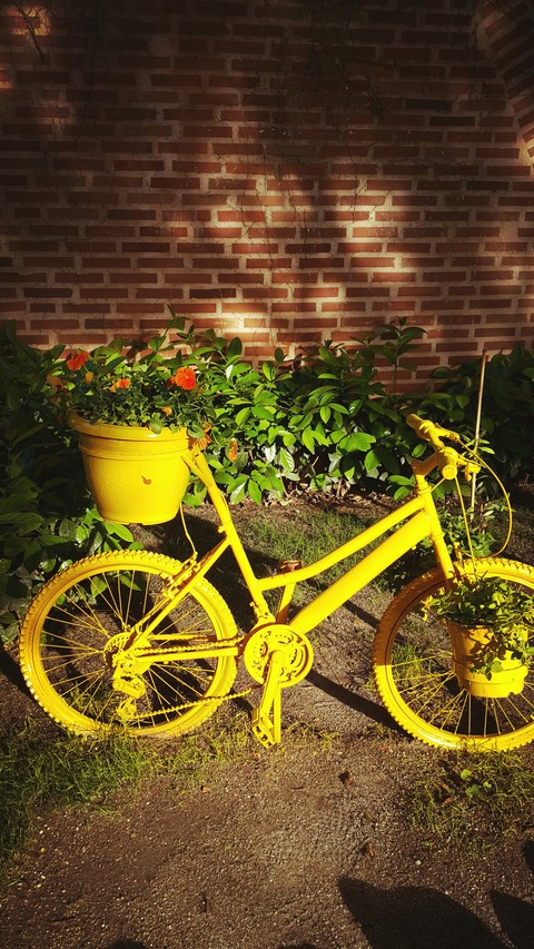 bicycle
