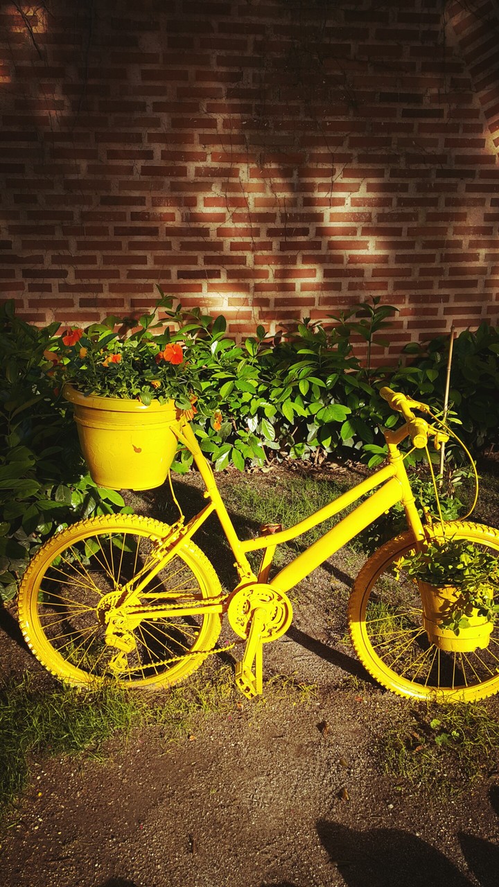 bicycle