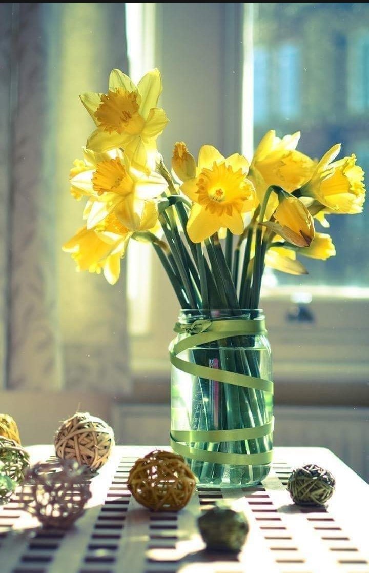 aaa