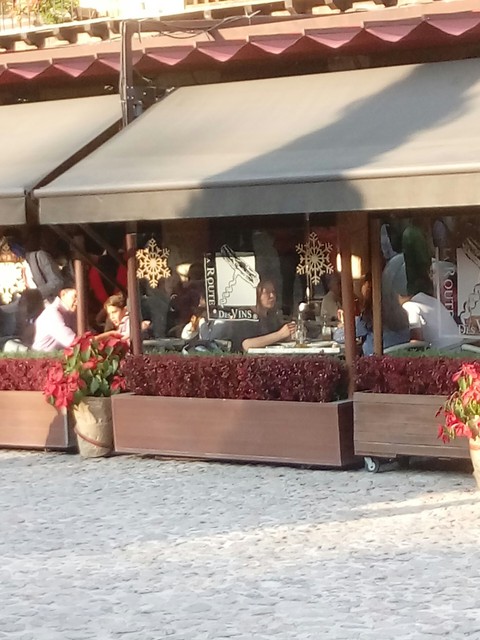 ruta del vino