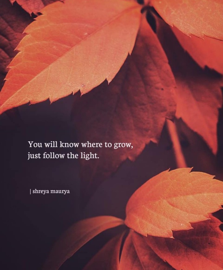 Quotes