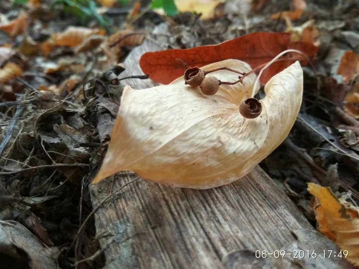 #October #photo