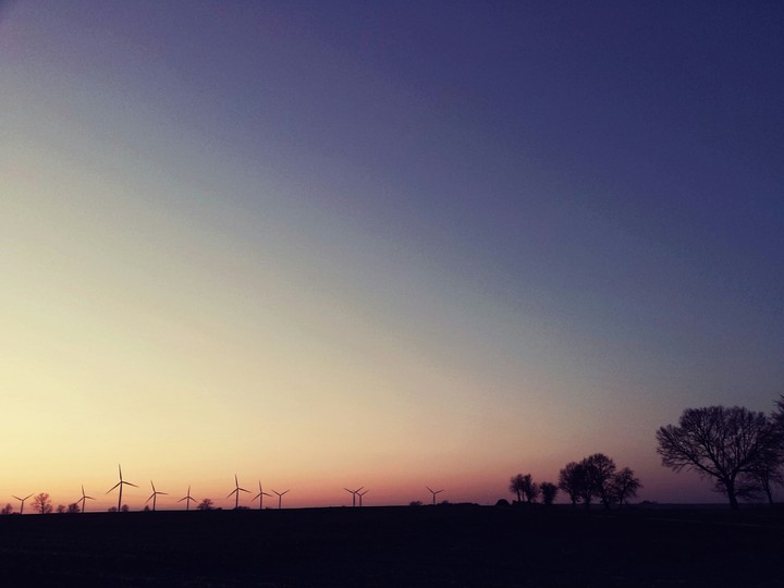 windfarm at sunset