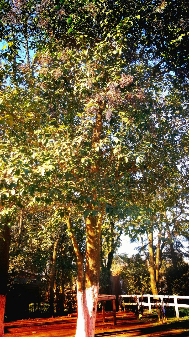 In touch with nature