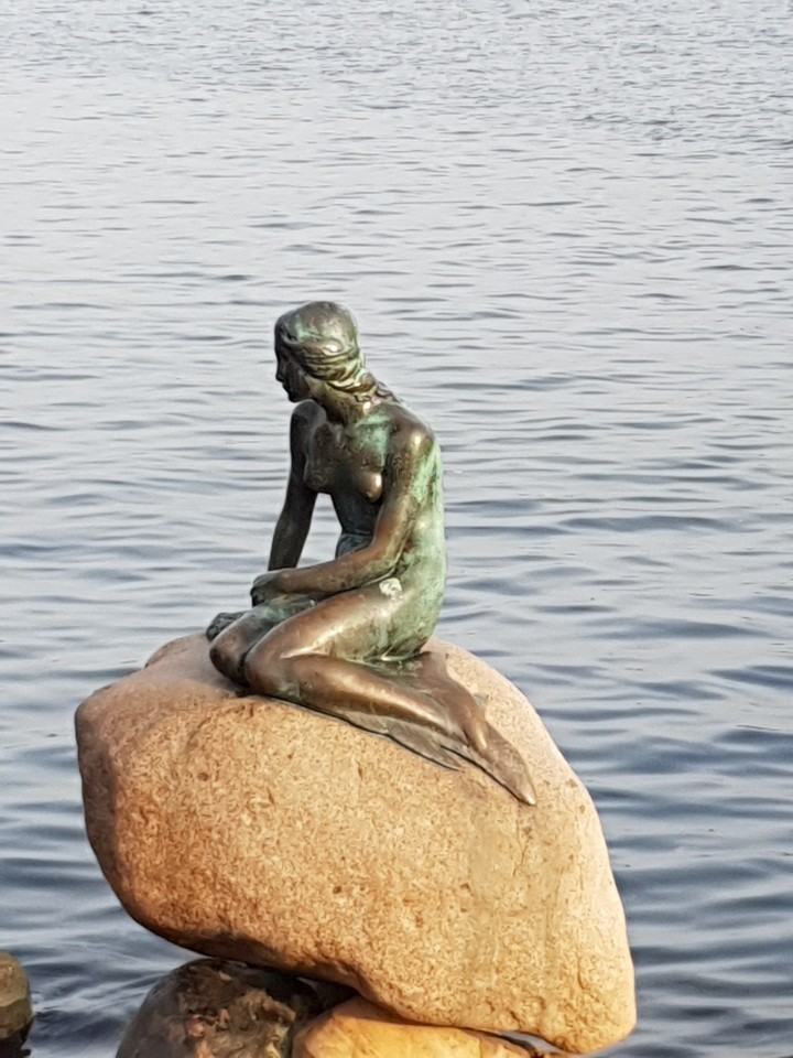 little mermaid