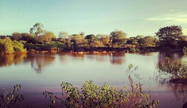 lago
