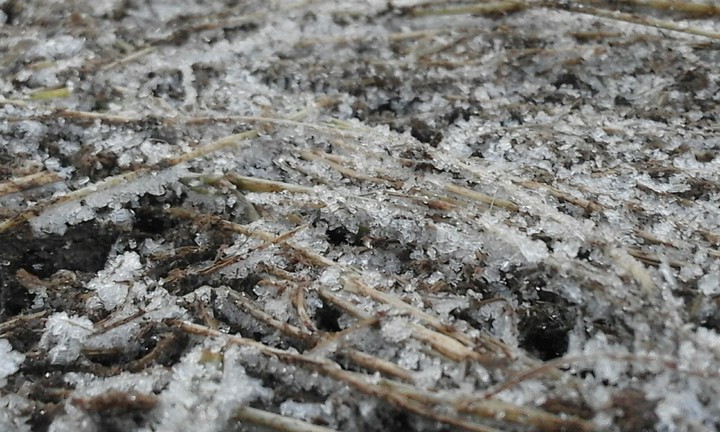 frost