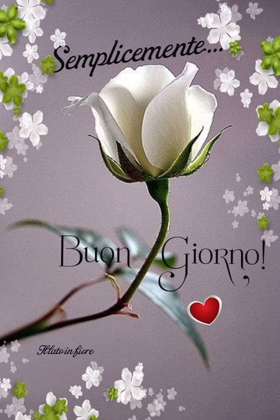 good morninf