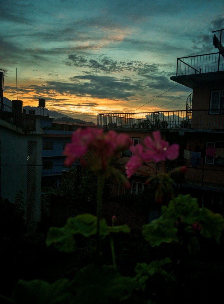 sunset