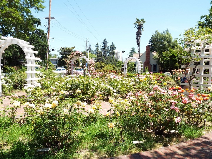 Luther Burbank