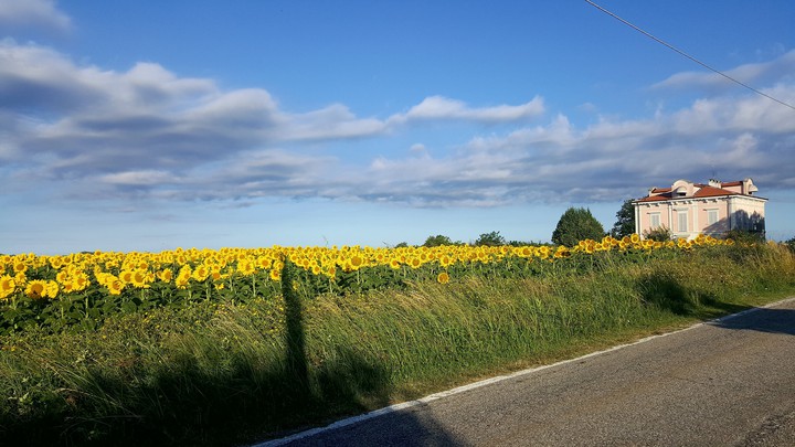 Monferrato