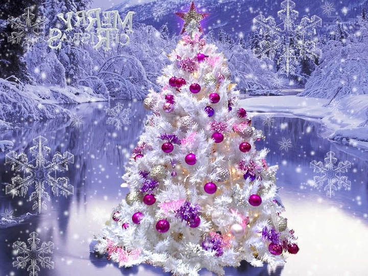merry Christmas
