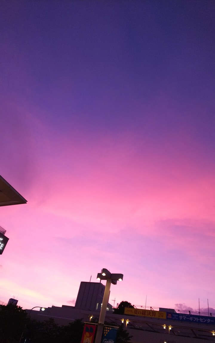 夕陽