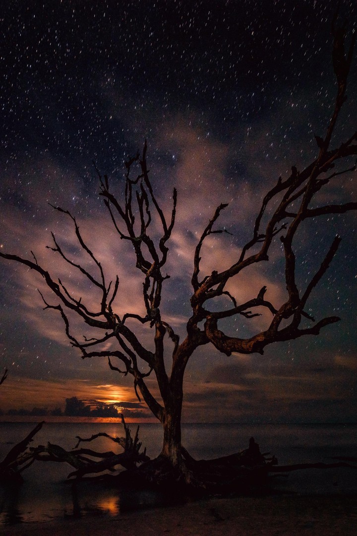 In the night...