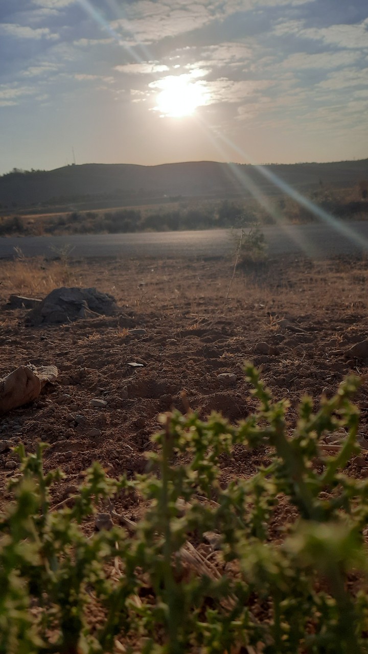 desert