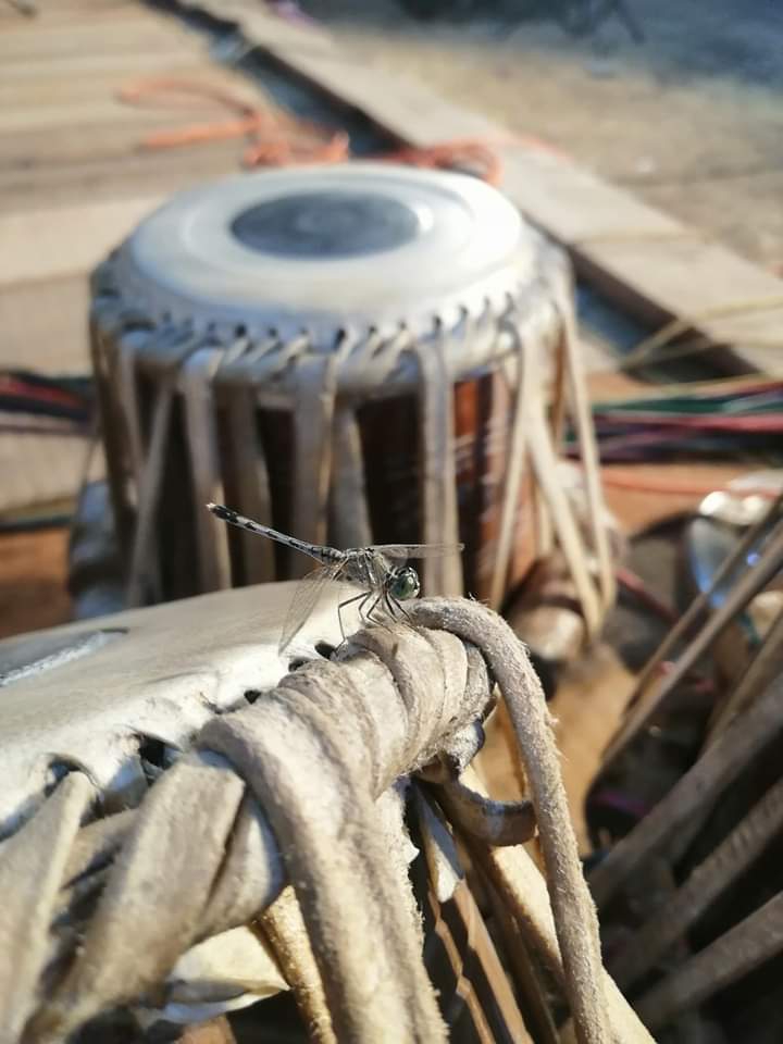 tabla