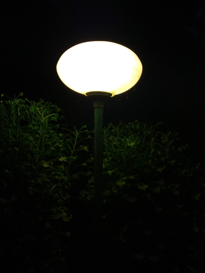 Light vibes