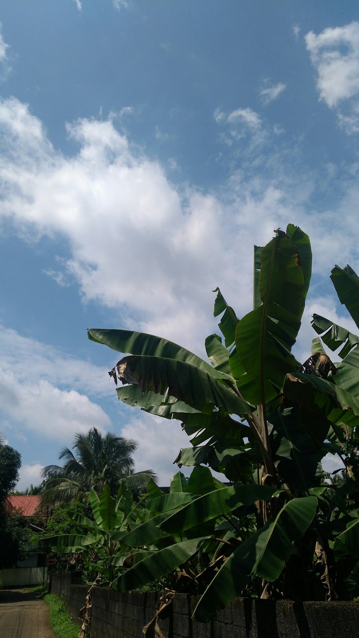 look at the sky..:)