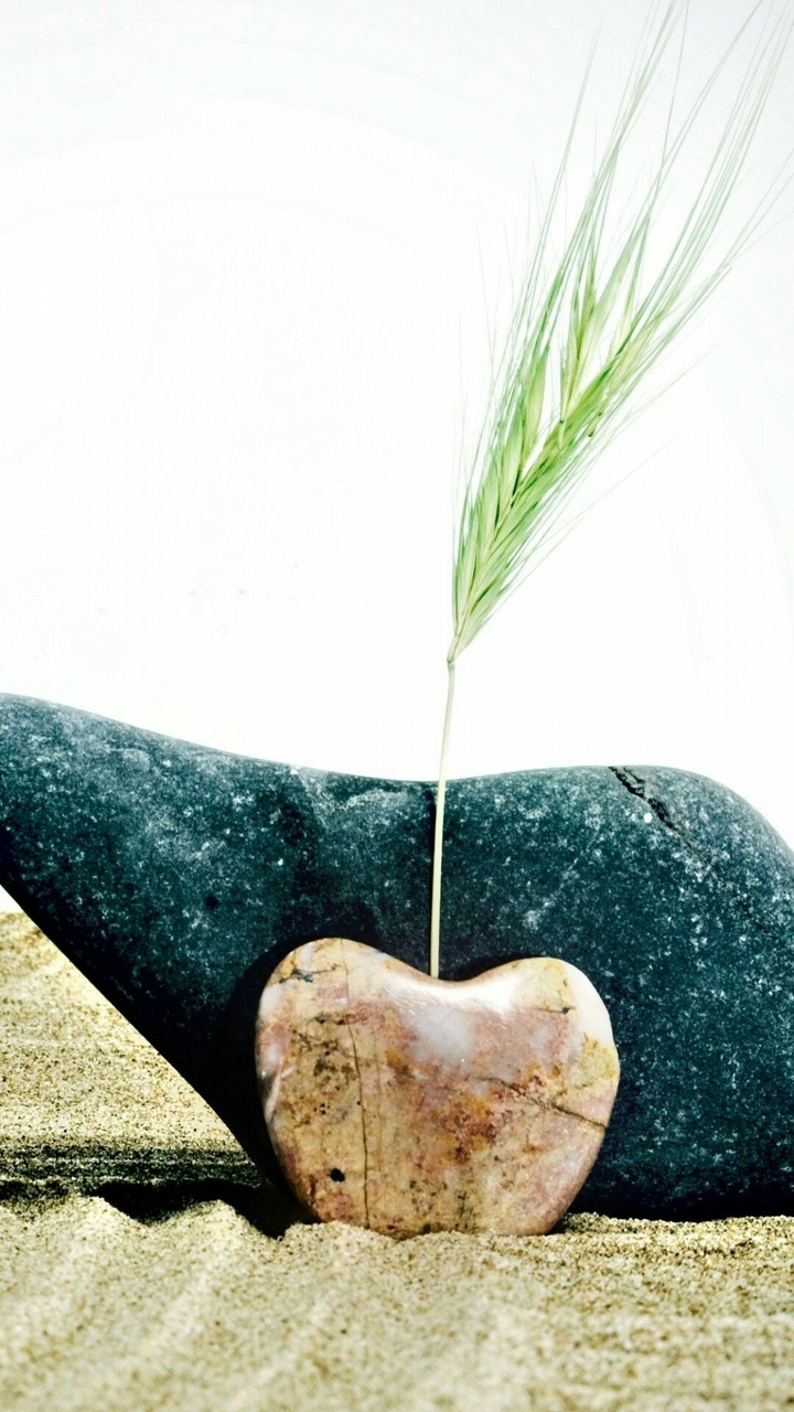 heart