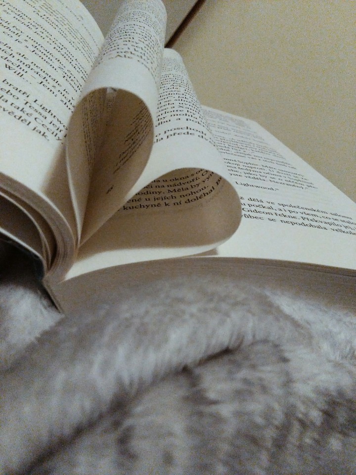 Heart of Book