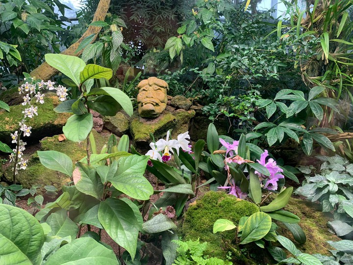 Palmengarten