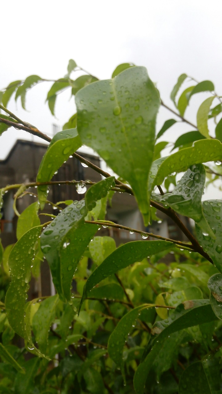 Water droplets