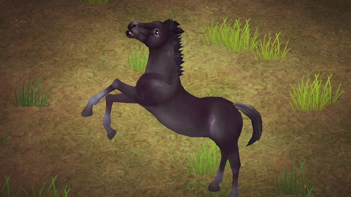 star stable