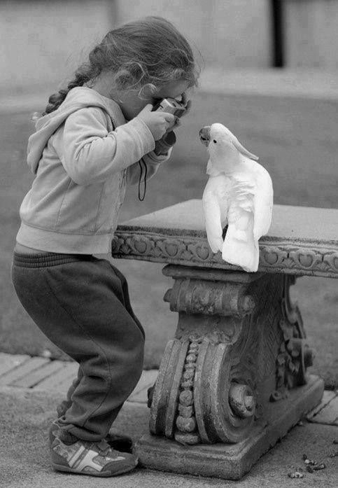 hermoso