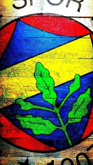 Fenerbahçe