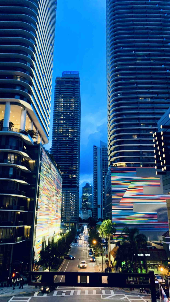 Miami landscape