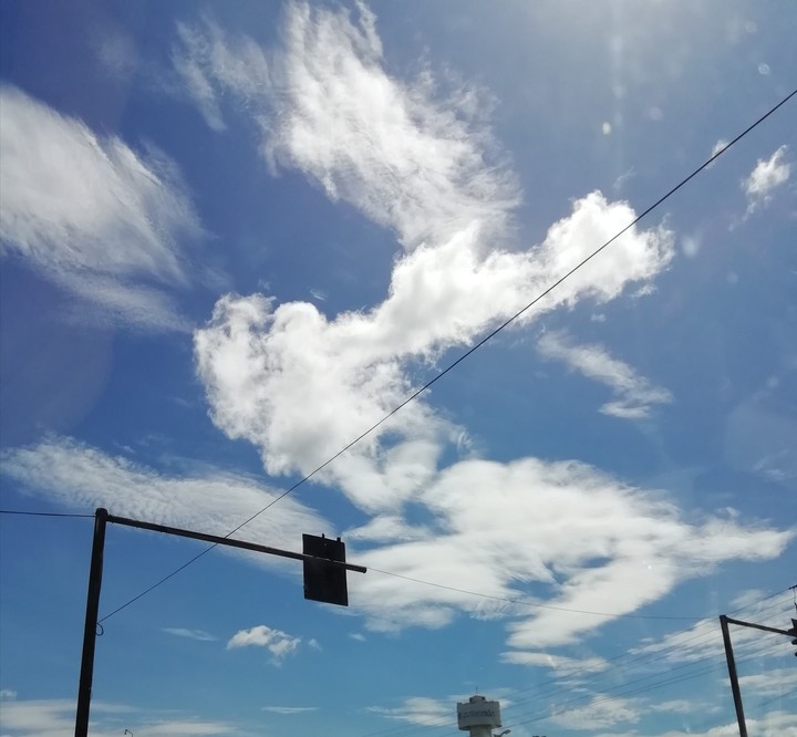 heart