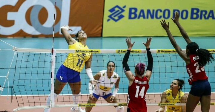vôlei Brasil