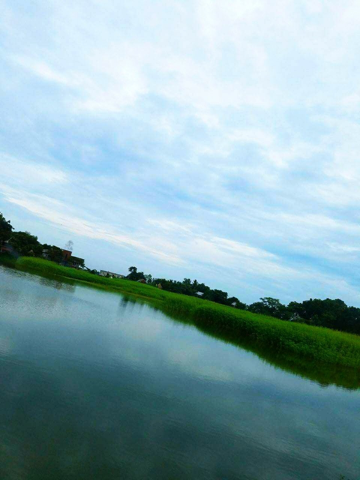 nature