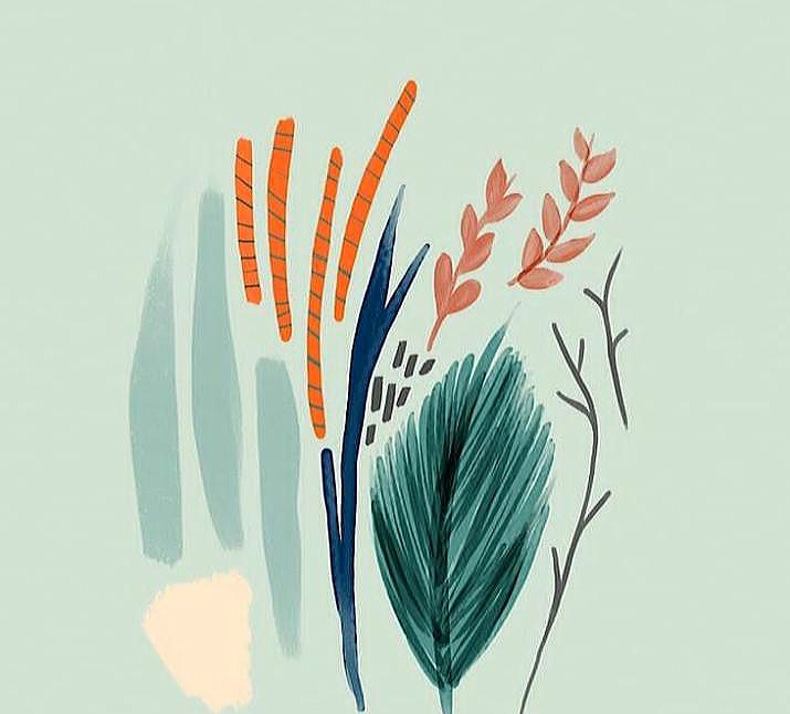 Colours