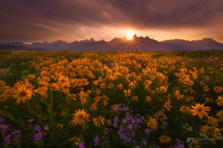 nature