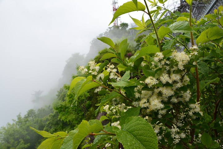 용문산이미지