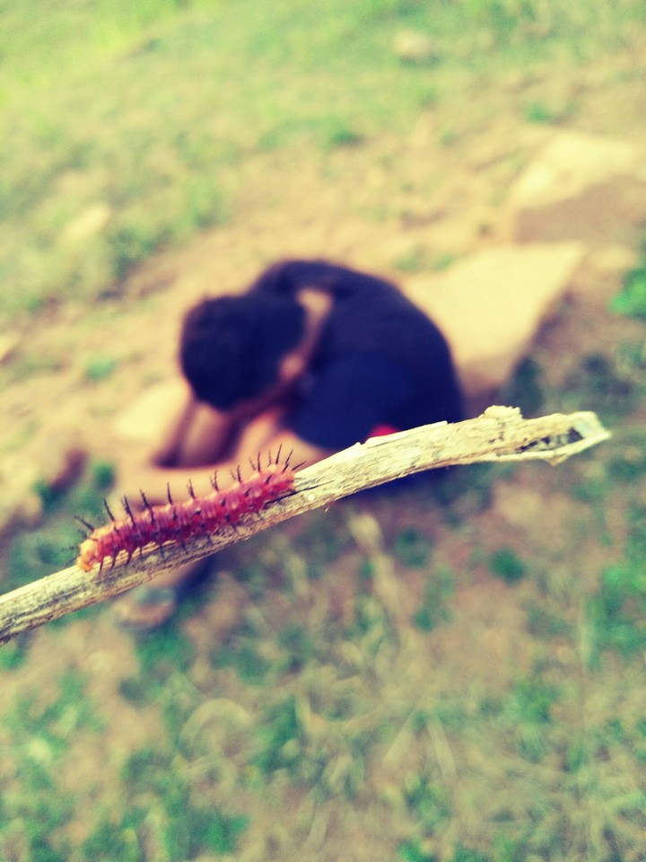 stick