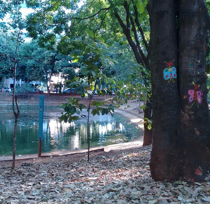 bosque