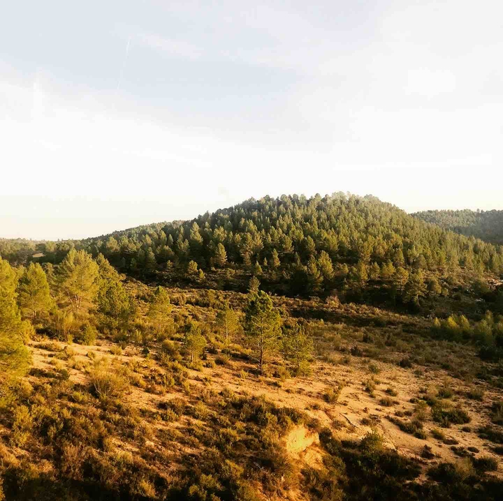 Paisaje