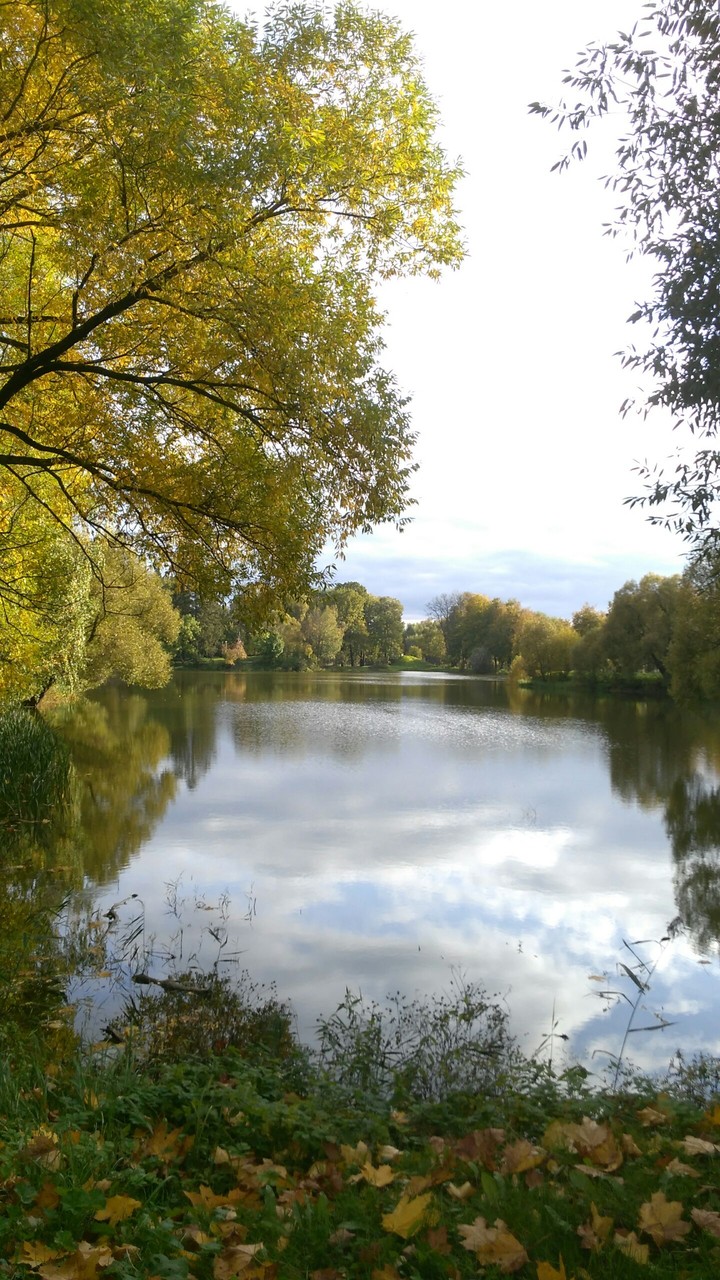 near the water